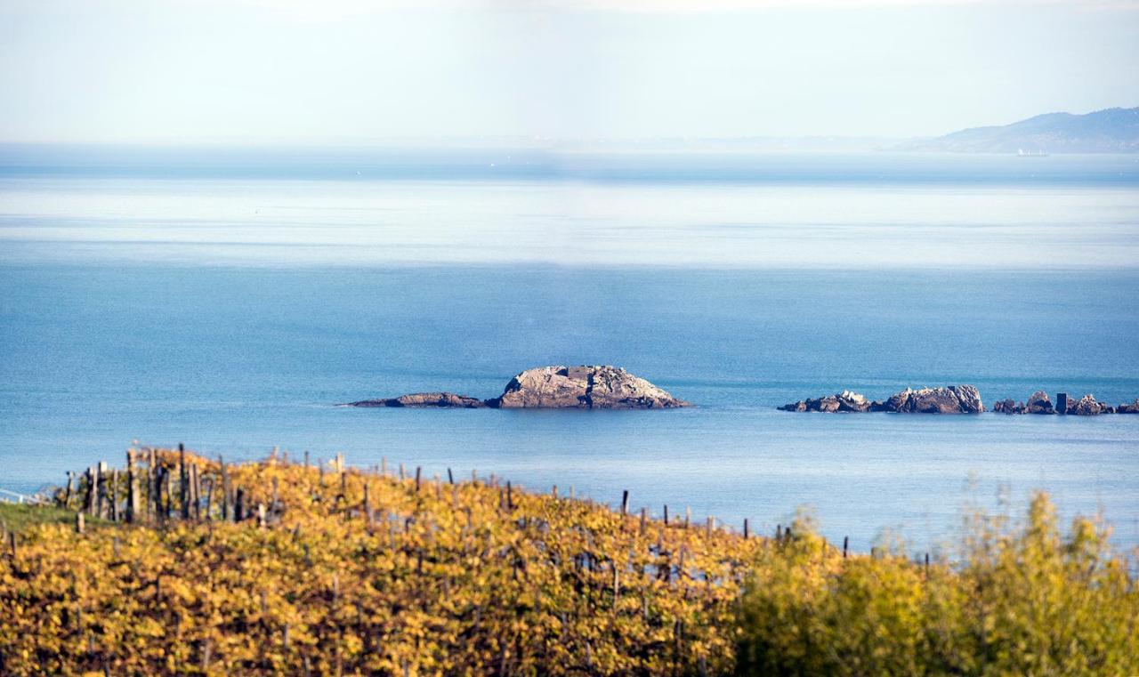 Aterian Gaztelu Daire Zarautz Dış mekan fotoğraf